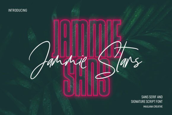 Jammie Stars: A Bold Display Font for Editorial Design