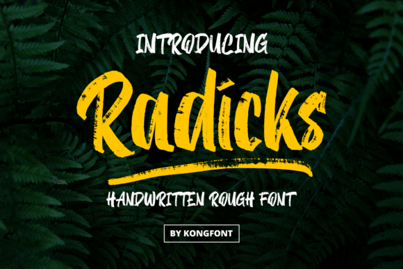 Radicks: A Real-World Designer Review