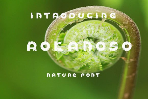 Rokanoso: A Tropical Display Font for Branding